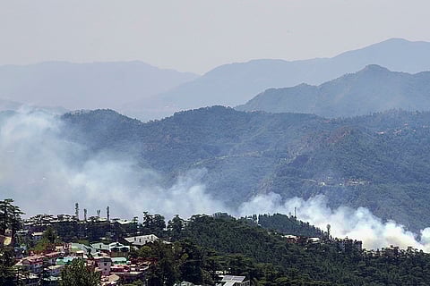 Forest fire in Shimla